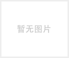 上海大止滑器，博辽牌止滑器，止滑器